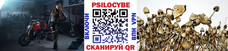 мориарти какой сайт Электросталь Псилоцибиновые грибы Psilocybine cubensis